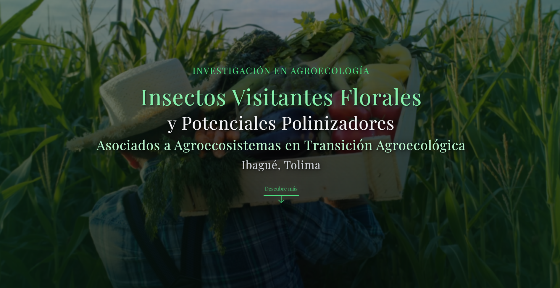 Investigación en Agroecología y Polinizadores